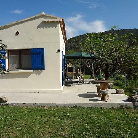Cottage Provencal Belgentier Exterior foto